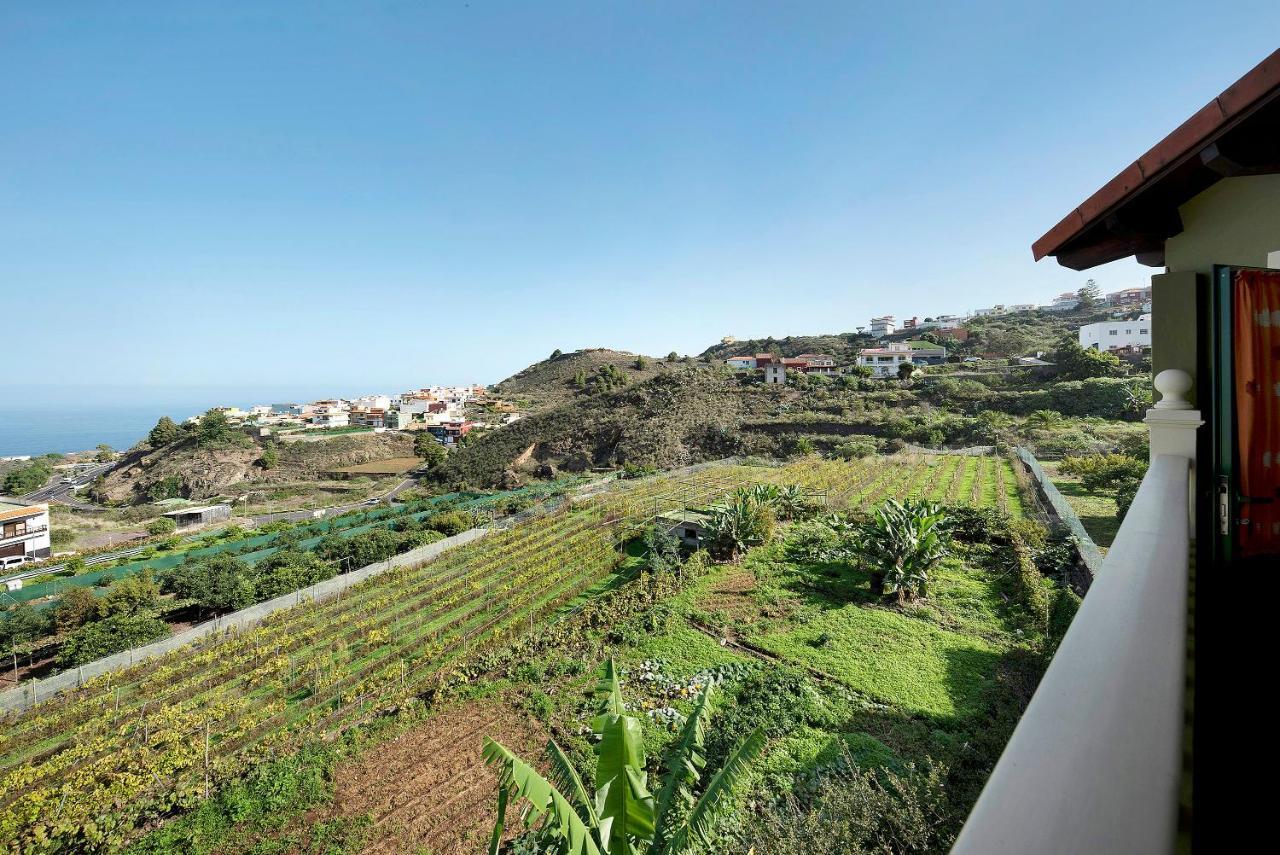 Apartamento Tily Icod De Los Vinos Exterior photo